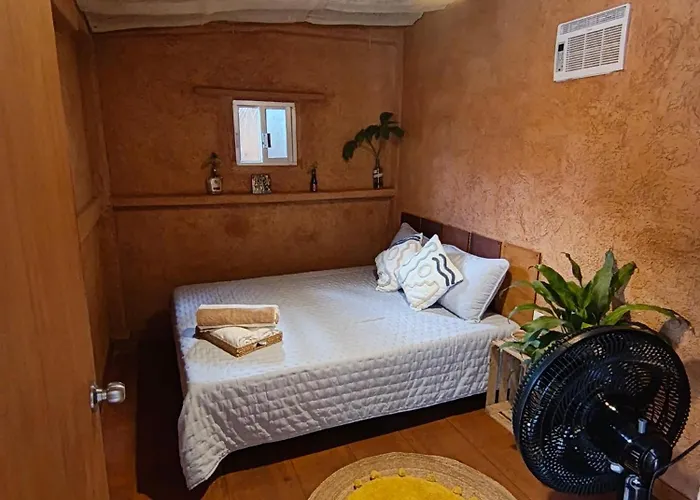 Flakos Zihuatanejo